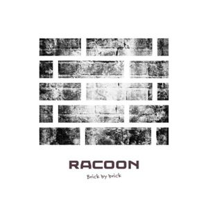 Racoon